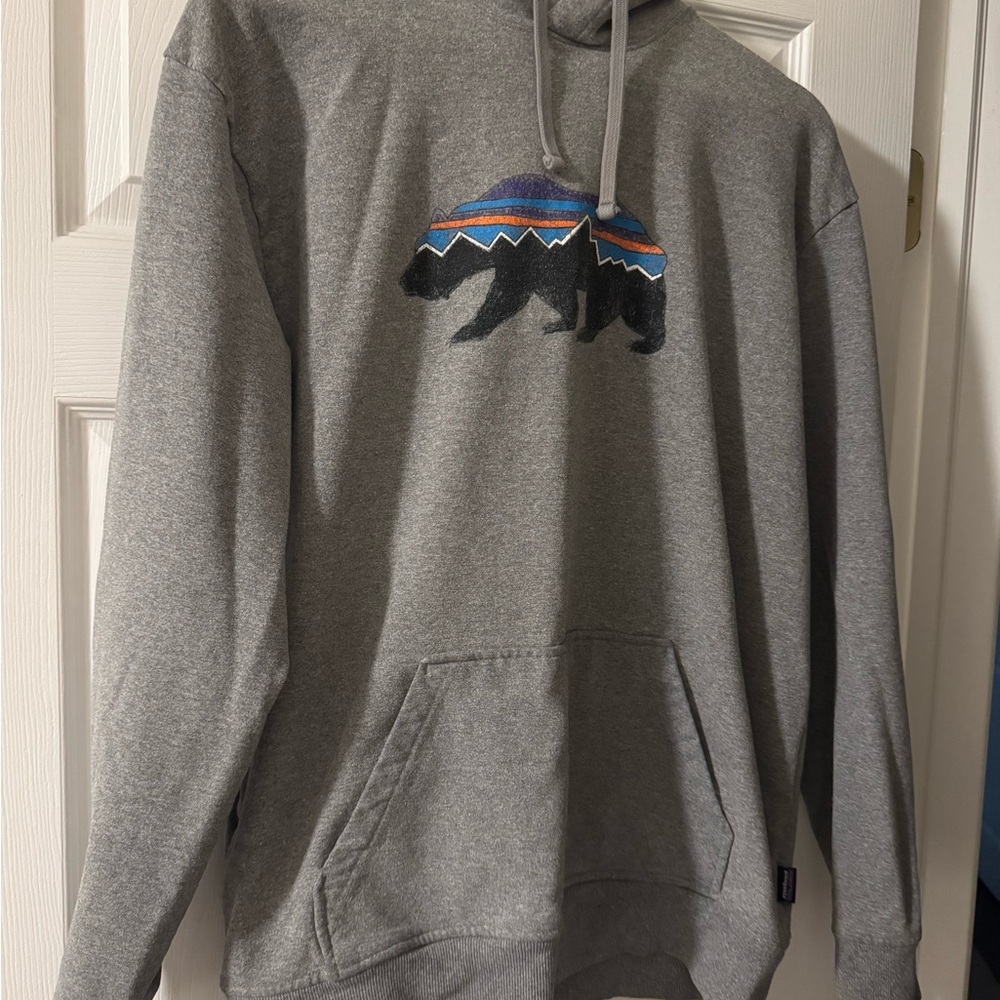 Patagonia Gray Sweatshirt with Scenic Bear Graphic
